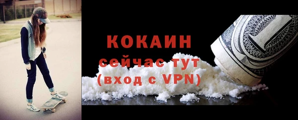 соль ск Абаза